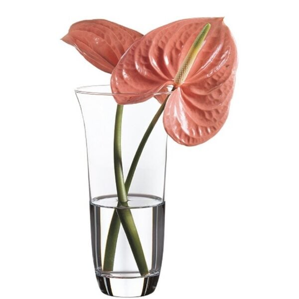 Botanica -  Glazen Vaas - 212 mm