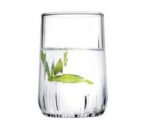 Pasabahce Nova - Shotglazen/Borrelglazen - Set van 6 - 135 ml