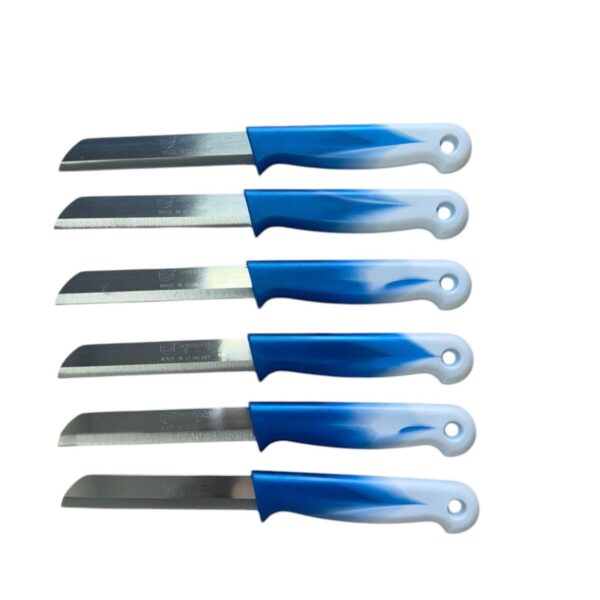 Solingen - Schilmes Superscherp Met Kartel - Blauw/wit - Set van 6