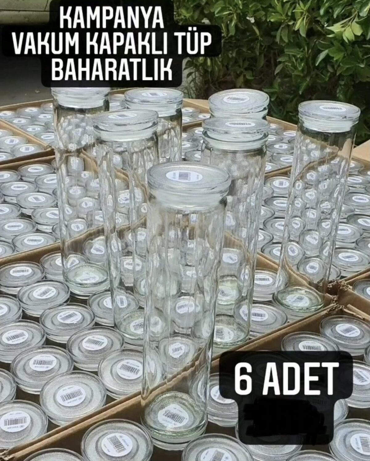 Sisecam Glazen Buis Kruidenpot - Cam Tüp Baharatlik - 6 adet/ 6 stuks - Görsel 2