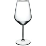 Pasabahce Allegra - Glazen Op Voet - Set van 2 - 490 ml
