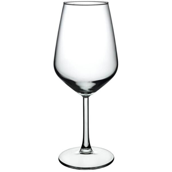 Pasabahce Allegra - Glazen Op Voet - Set van 2 - 490 ml