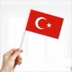 Turkse Vlag - Met Stok - 16 cm x 27 cm - Mini