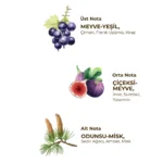 Eyüp Sabri Tuncer - Wild Fig - 150 ml - Eau De Cologne – Glazen Fles – Bild 3