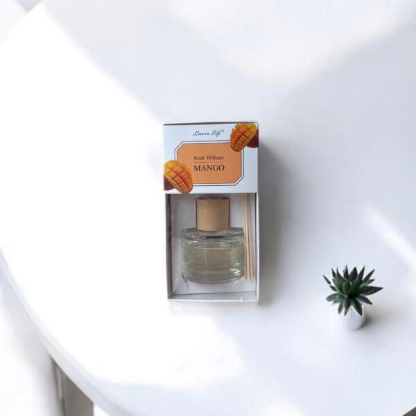 Ekselans EK-295 - Reed Diffuser - Mango Geurstokjes - 10 x 19 cm - Love is Life