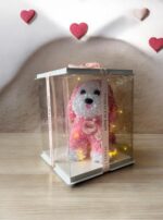 Ekselans EK-221 - Rozenhond in Cadeaubox met LED-verlichting – 26 x 33 cm – "Love is Eternal" Design