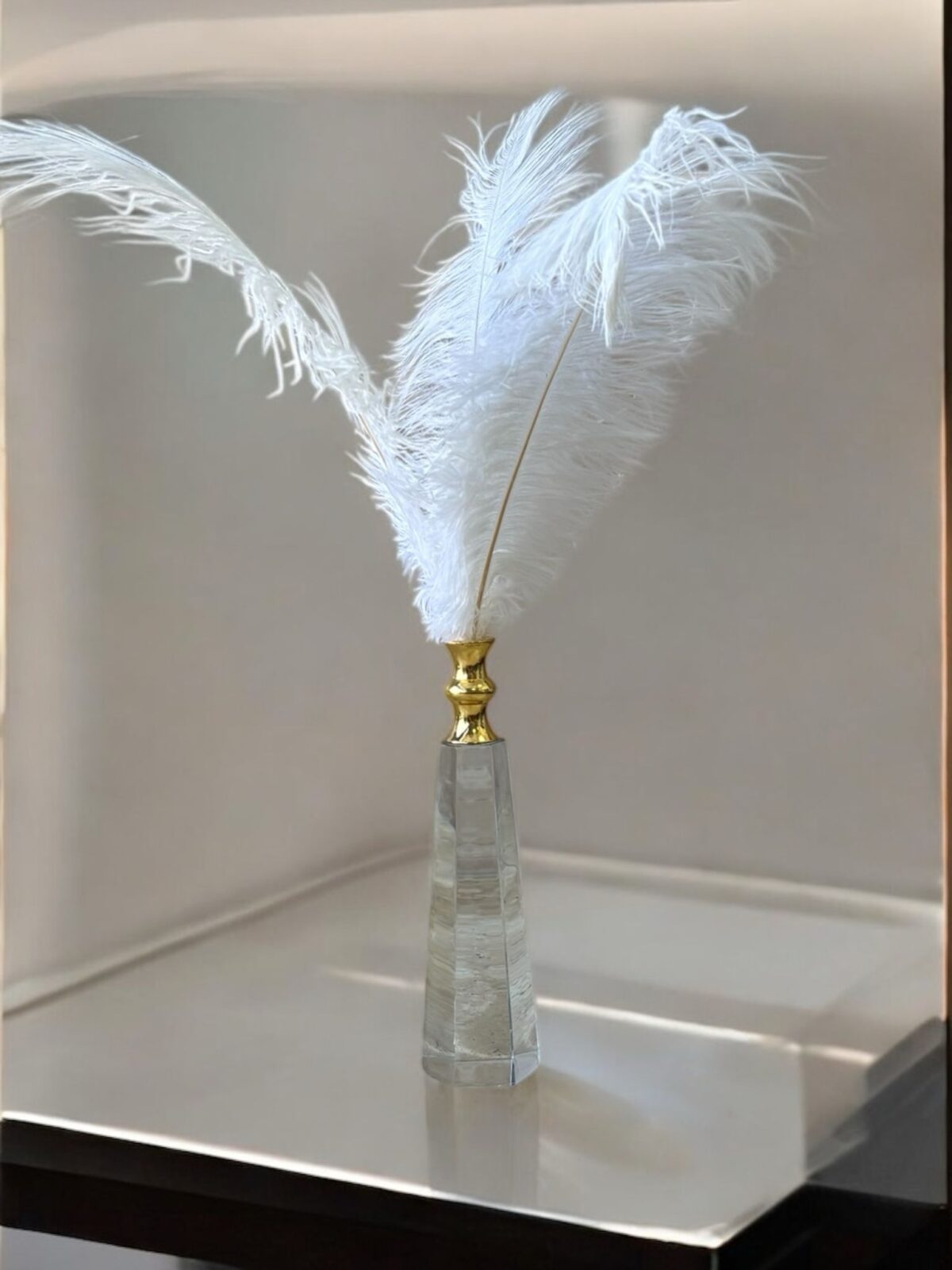 Ekselans EK-277 - Glazen Decoratiestuk met Veren – Rechthoekige Basis & Gouden Details – 40 x 7 cm - Görsel 2