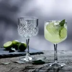 Pasabahce Timeless 440237 - Gin Tonic Glazen - Set van 12 - 500 ml - Image 2